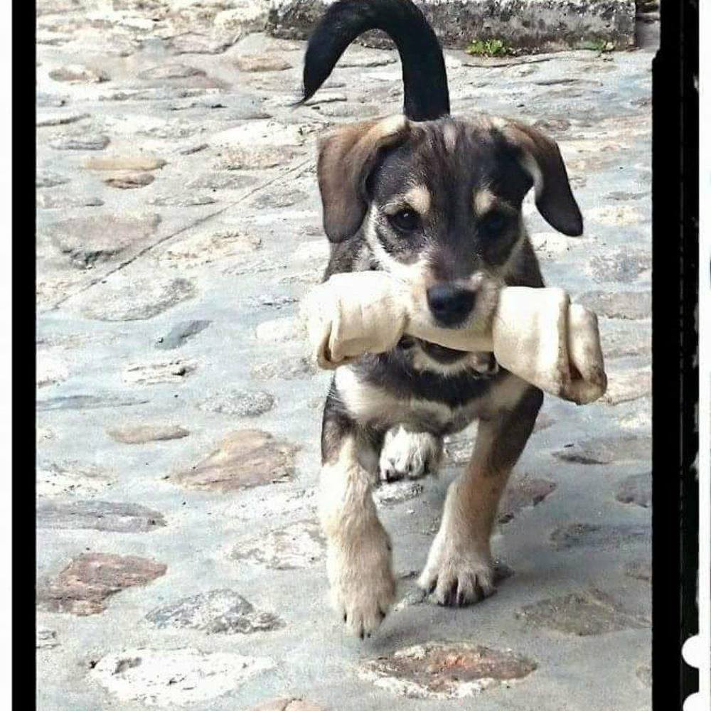 Meet your Posher, Delfina